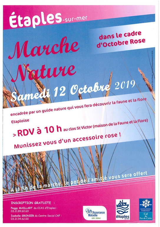 Affiche Marche Nature Pour Octobre Rose 19 Ville D Etaples Sur Mer